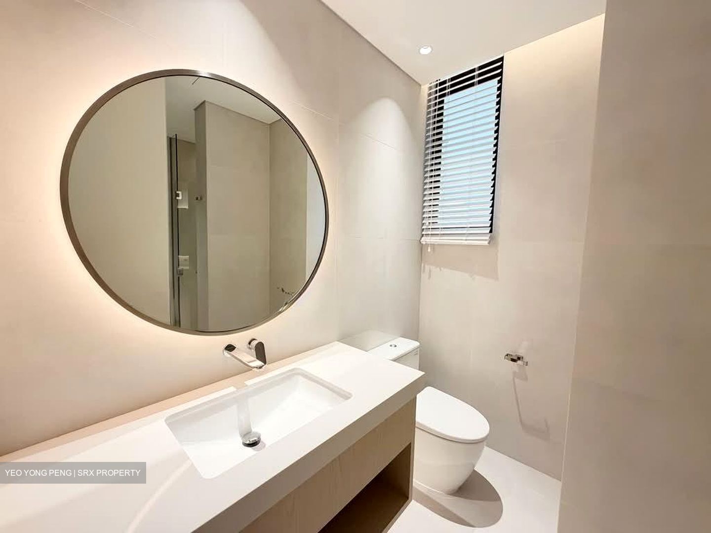 The Colonnade (D10), Condominium #563199291